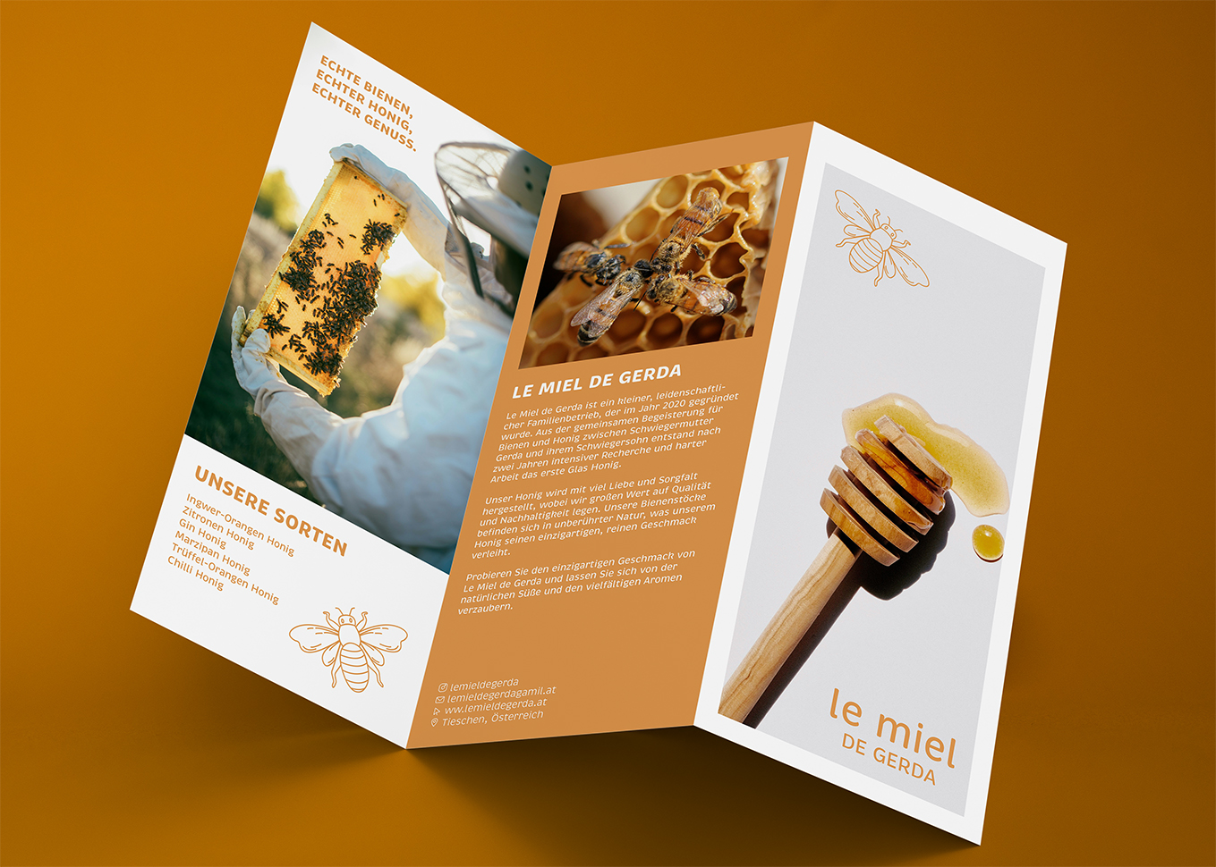 LMDG_flyer_mockup